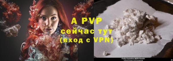 прущие грибы Беломорск