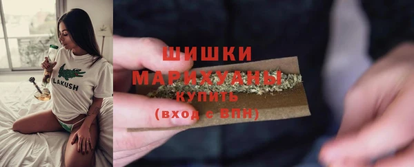 прущие грибы Беломорск