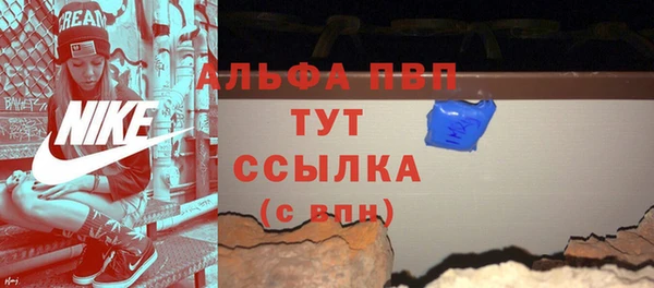 прущие грибы Беломорск