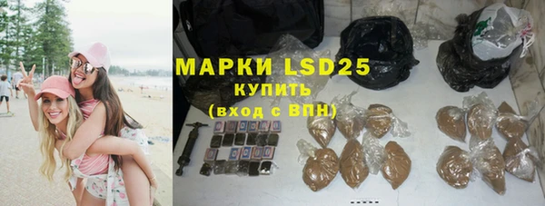 прущие грибы Беломорск