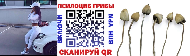 Галлюциногенные грибы GOLDEN TEACHER kraken сайт Бобров закладки